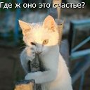 ���� ��������, ������ ����� - ��������� 22 ������ 2014