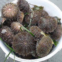 ���� �������, ����-���������, 56 ��� - ��������� 26 ������� 2014