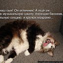 ���� ����, �����-��������� - ��������� 10 ������� 2014 � ������ ������ ��������