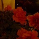 ���� ������, �����-���������, 63 ���� - ��������� 9 �������� 2014 � ������ ������ ��������