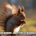 ���� �������, ����������� - ��������� 28 �������� 2014 � ������ ������ ��������