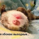 ���� O.l., �����, 59 ��� - ��������� 7 ������� 2014 � ������ �������