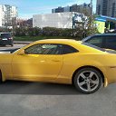 ���� �������, �����-��������� - ��������� 29 ������ 2014 � ������ ��������� ������