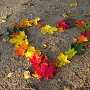 ���� �����, ����� - ��������� 16 ������� 2014 � ������ ������