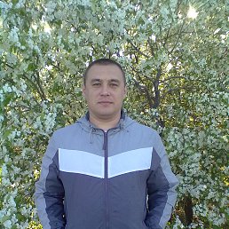 ������, ����, 41 ���