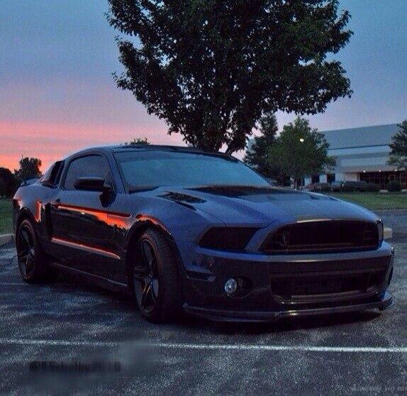 Shelby GT500. - 4