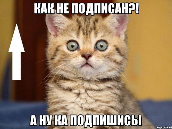 fotostrana.ru/public/237440/?