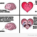 ���� ������, �����-��������� - ��������� 4 ������ 2014 � ������ ������ ��������