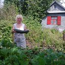 ���� �����, ����������� - ��������� 2 �������� 2014 � ������ ���� ����������