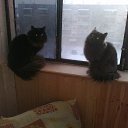 ���� ������, ���������, 60 ��� - ��������� 23 ������� 2014 � ������ ��������