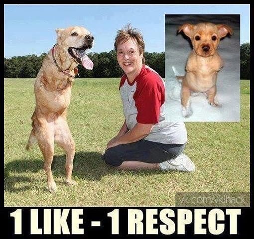 � ������ ������, �� ���������� �������� ���� �������, �� ��������� ���������� �����!