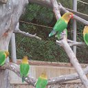 ���� *����*, ������������ - ��������� 24 ������� 2014