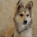 ���� Hell Girl, ���������, 31 ��� - ��������� 17 ������� 2014 � ������ ������ ��������