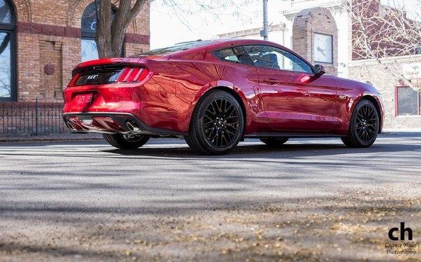 Ford Mustang GT, 2015. - 2