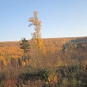 ���� �������, �������, 41 ��� - ��������� 1 ������� 2014 � ������ ���� ����������