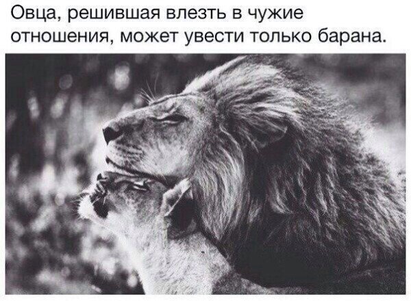 ,    - 11  2014  07:04