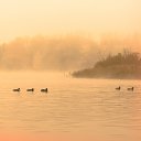 ���� ������, ������ ��������, 56 ��� - ��������� 28 �������� 2014 � ������ �������