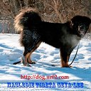 ���� Leonid, ������������, 55 ��� - ��������� 22 ������� 2014 � ������ ���� ����������