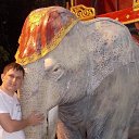 ���� ����, �����������-��-�����, 44 ���� - ��������� 17 ������ 2014