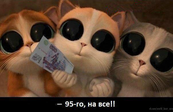    - 4  2014  03:08