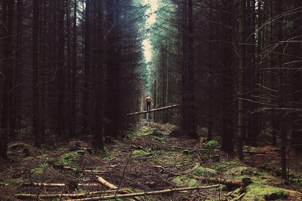 ... главная ирония жизни в том, что она абсолютно непредсказуема. Непредсказуема с начала и до ...