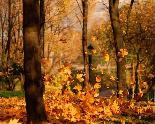 5 ������� - ���� � ����, �����������.� ���� ���� �������� �������� ���� ������ � �������� ���� � ... - 2