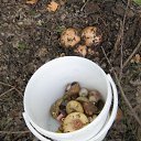 ���� ������, ���������� �����, 45 ��� - ��������� 19 ������ 2014 � ������ ���� ����������