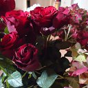 ���� Irina, ����������� - ��������� 12 �������� 2014 � ������ �������