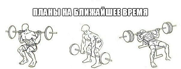 SportFeed - 20  2014  20:24