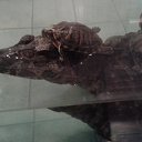 ���� ������, ������, 54 ���� - ��������� 8 �������� 2014 � ������ ��������