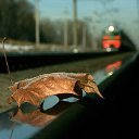 ���� �����, ������, 59 ��� - ��������� 25 ������� 2014 � ������ ������ ��������