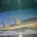 ���� �����, ������������, 42 ���� - ��������� 1 �������� 2014 � ������ ���� ����������