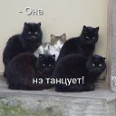  N..., , 47  -  11  2014       )))