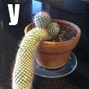 ��������� ���� � �� ����)))))!!!!!!!!! �� ������� ���� ����������