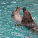 ������������ �����������) ����� �������). ��� ����������. �� ������� ���� ����������