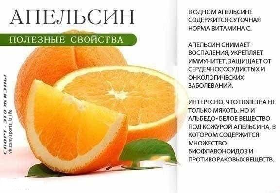 ������ �������. ������� �� �����, ����� �� ��������! ��� ������ � ������� ... - 7