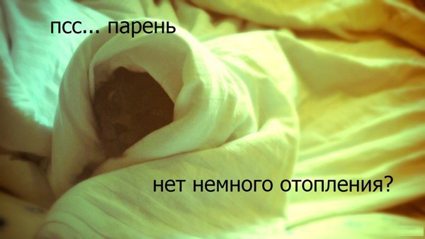 �������������� �� ���� �������� <a href=