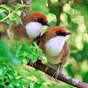 ���� �����, ��������� - ��������� 19 ������� 2014 � ������ ��� �� �����