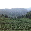 ���� Rashiid Ahmed, �����������, 41 ��� - ��������� 3 �������� 2014 � ������ ���� ����������