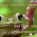 ���� �������, �������-����� - ��������� 29 ������� 2014 � ������ ���� ����������