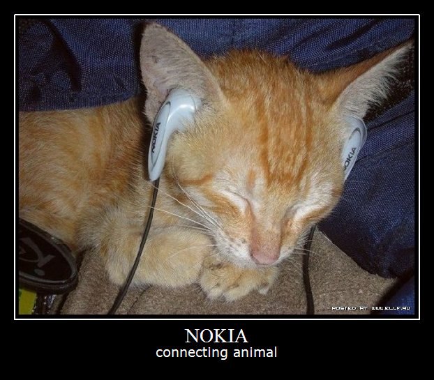 NOKIA  !