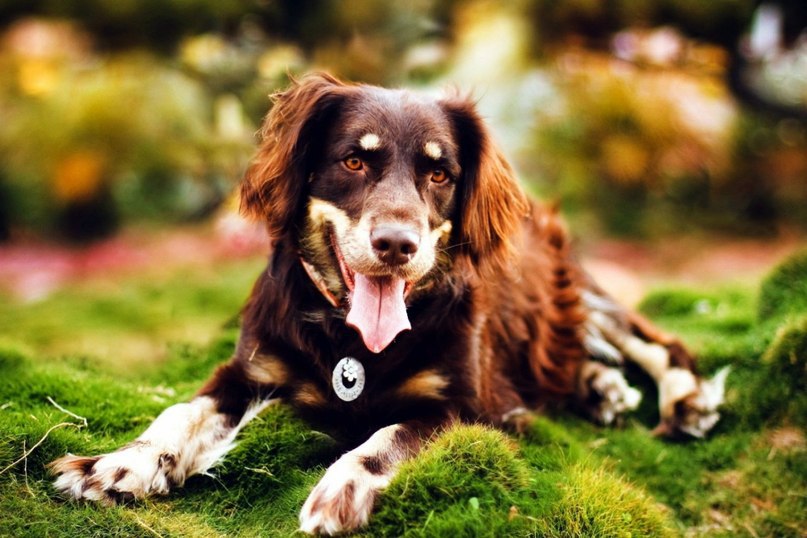 ����� ������� - 10 ������� 2014 � 06:04