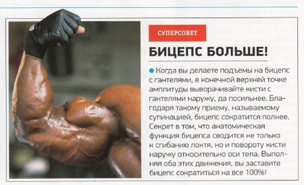   Muscle&Fitness 4.  ,  ,  .