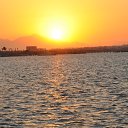 ���� Credo, ������� - ��������� 28 ������� 2014 � ������ ������� 2014�