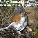 ���� ������, ������, 52 ���� - ��������� 9 ������ 2014 � ������ ������ ��������