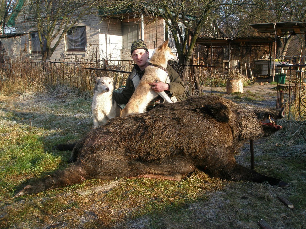 ����� ������� - 8 ������ 2014 � 13:25 - 3