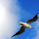 ���� �����, ������, 55 ��� - ��������� 25 ������� 2014 � ������ �������