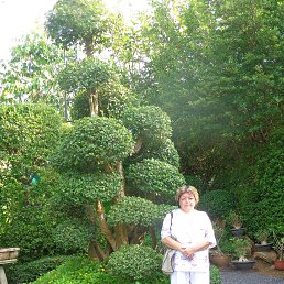 �������, �������, 70 ���