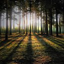 ����� ��� �)) �� ������� ��������