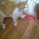 ���� ������, �����, 65 ��� - ��������� 1 ������� 2014